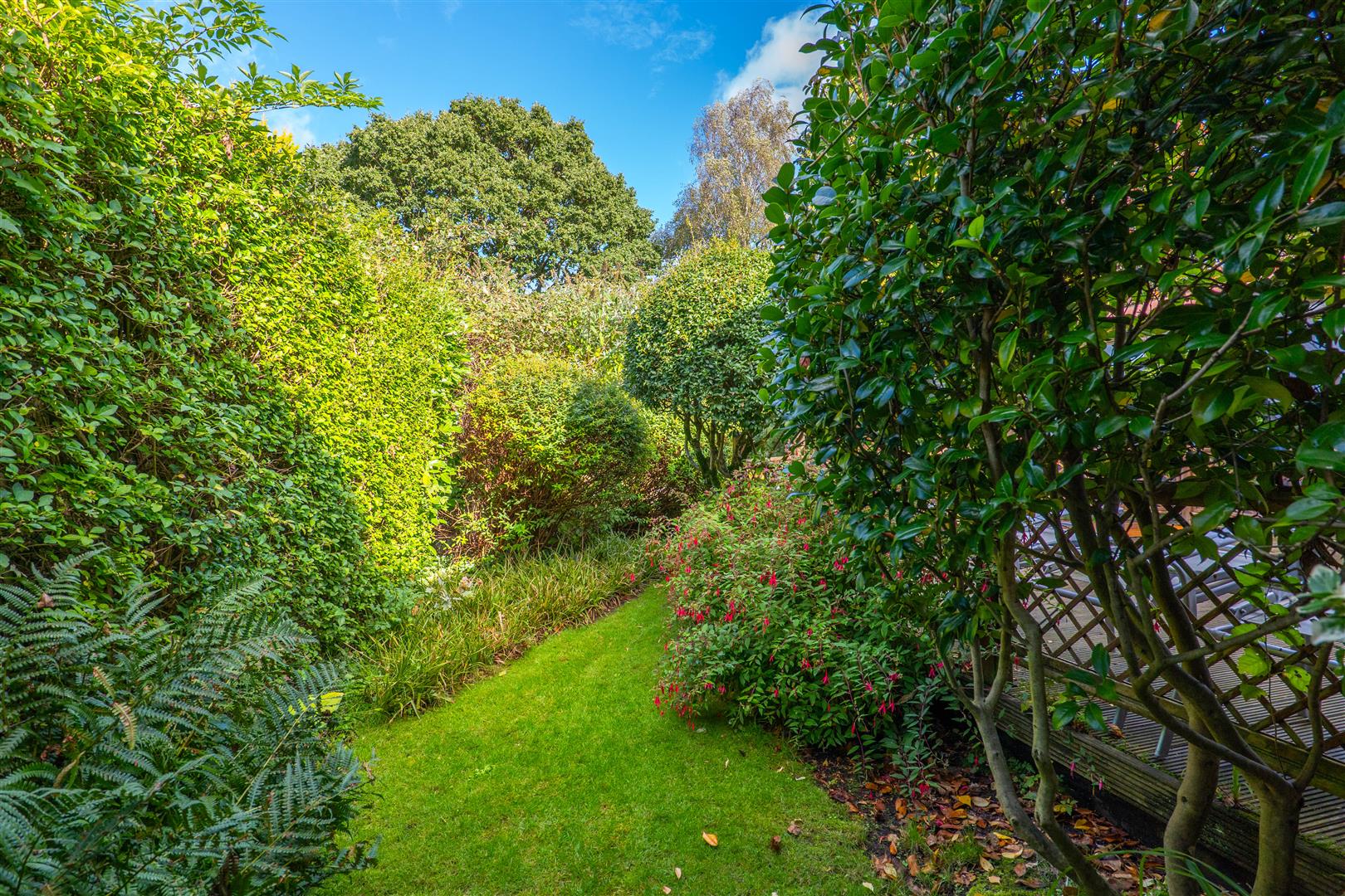 Lancaster lane, Leyland